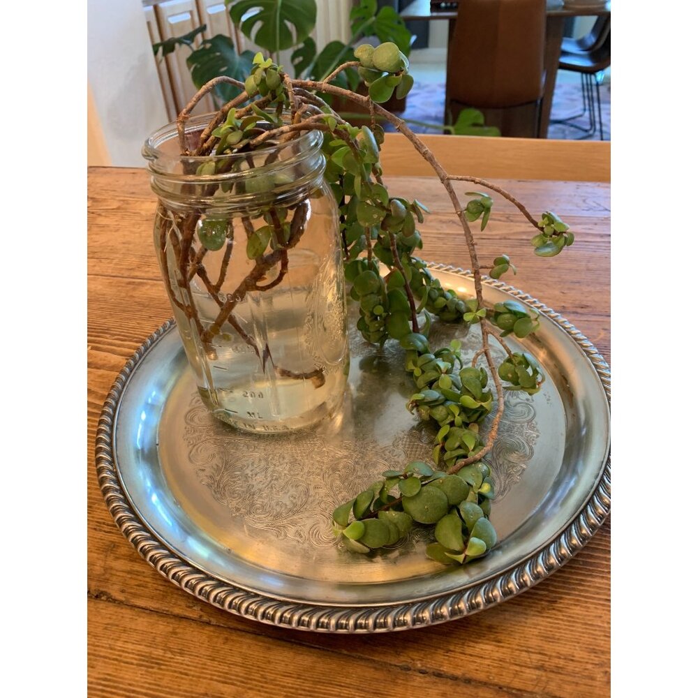 VTG 50s William Rogers 171 Silver Plate Etched Serving Tray 12.5" 8821